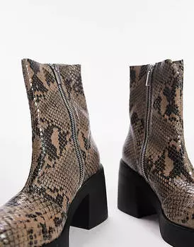 Черные кожаные ботинки на каблуке со змеиной отделкой Topshop Tyra