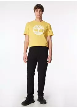 Черные мужские спортивные штаны стандартного кроя S241043-001 Micro Collection M Skechers, черный