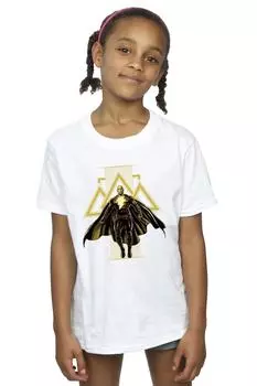 Черный - Хлопковая футболка с изображением золотых символов Adam Rising DC Comics, белый