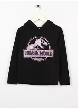 Черный свитшот для девочки NKFJORDI JURASSIC SWEAT UNB VDE Name t, черный