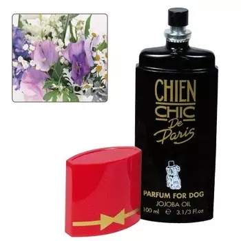 Chien Chic Floral Perfume
