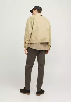 Чино JPSTACE JJHARLOW Jack & Jones, темно-коричневый