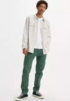 Чино Levi's, садовый тенистый топиарий