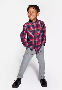 Чинос Coccodrillo, серый