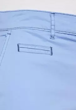 Чиносы DELMARIO Babista, светло-голубой