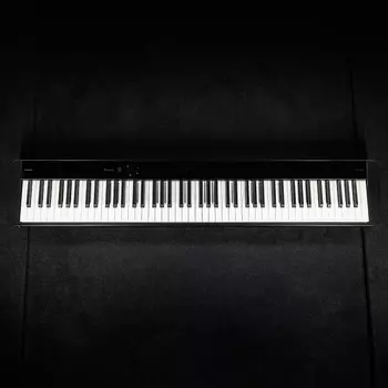 Цифровое пианино Casio Privia PX-S1100 Privia PX-S1100 Digital Piano