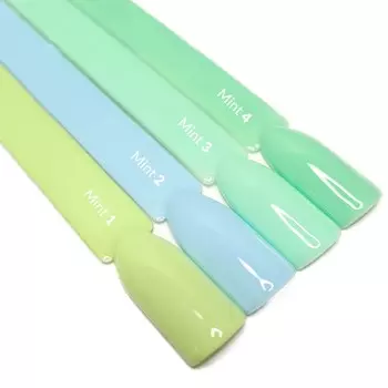 Claresa, Набор из всей коллекции гибридов мяты, 4 шт