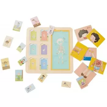 Classic World, Доска развивающая, Тело человека 19 шт. ClassicWorld