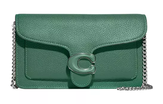 COACH Клатч-трубы из зернистой кожи на одно плечо, женский, зеленый, полосатый