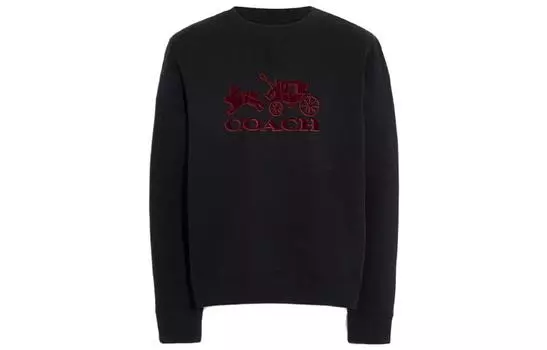 COACH Мужская толстовка, цвет Black