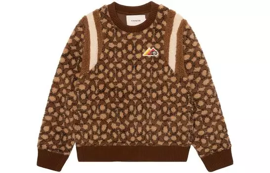 COACH Мужская толстовка, цвет Brown