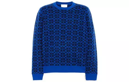 COACH Мужской кашемировый свитер, цвет BrightBlue