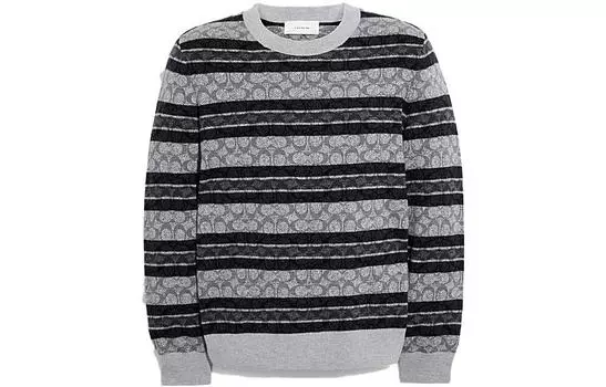 COACH Мужской свитер, цвет Black