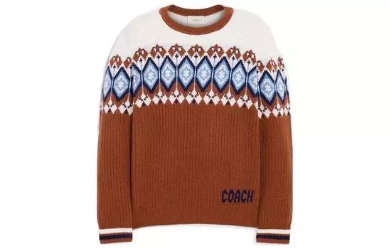 COACH Мужской свитер, цвет Brown