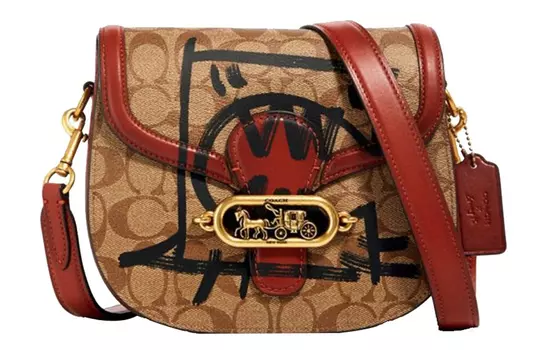 COACH Портативная сумка через плечо из нефритовой кожи, женская, цвета хаки