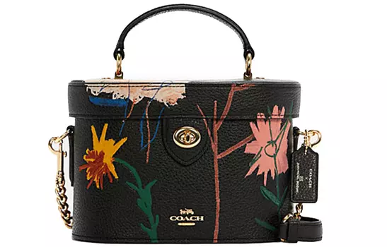 COACH Сумка-коробка для косметички из ПВХ от Basquiat Collaboration, женская, небольшого размера, с черным принтом