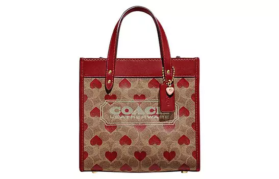 COACH Сумка-шоппер из коровьей кожи, сумка-тоут, сумка через плечо, женская, небольшого размера, коричневого и красного цвета