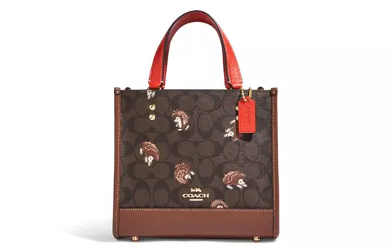 COACH Сумка-шоппер из коровьей кожи, сумка-тоут, сумка через плечо, сумка-мессенджер, обычная женская, с монограммой, коричневого цвета