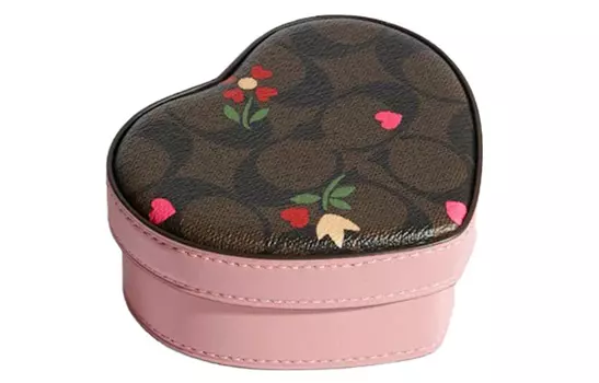 COACH Женская косметичка в форме сердца, Brown