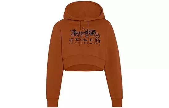 COACH Женская толстовка, цвет Brown