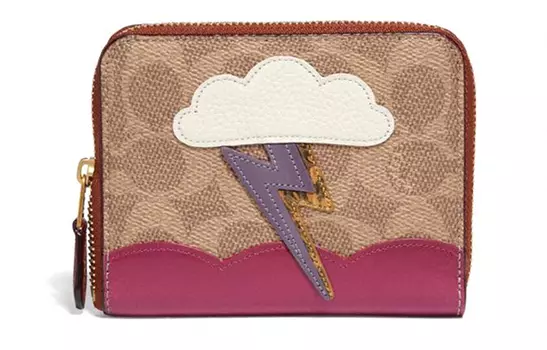 COACH Женский коричневый кошелек-клатч из ПВХ на молнии