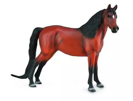 Collecta, фигурка жеребца Morgan Bay Deluxe