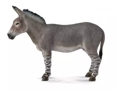 Collecta, Коллекционная фигурка, Африканский осел