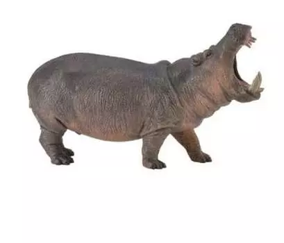 Collecta, Коллекционная фигурка, Бегемот