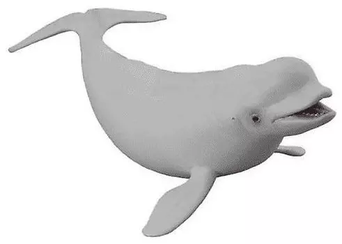 Collecta, Коллекционная фигурка, Белуха