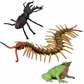 Collecta, Коллекционная фигурка, набор фигурок насекомых, кат. № 66943.