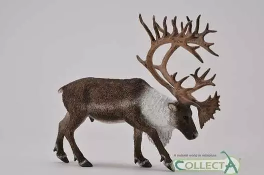 Collecta, Коллекционная фигурка, Олени