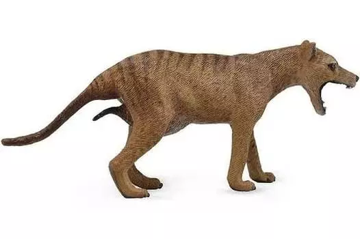 Collecta, Коллекционная статуэтка, самка тасманийского тилацина, размер L