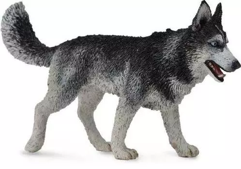 Collecta, Коллекционная статуэтка, Собака сибирский хаски