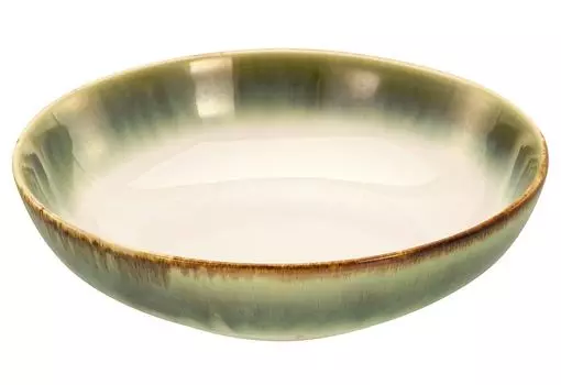 CREATABLE Поке Миска 22,5см зеленая