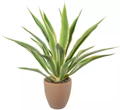 Creativ green Искусственное комнатное растение "Агава в терракотовом горшке" 85 см, зеленый
