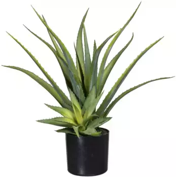 Creativ green Искусственное комнатное растение "Декоративное сочное алоэ" 16х48х16 см, зеленый