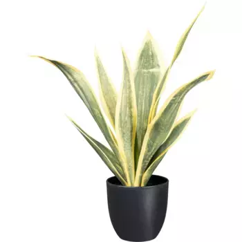 Creativ green Искусственное комнатное растение «Sansevieria Trifasciata» с зелено-желтыми листьями, зеленый