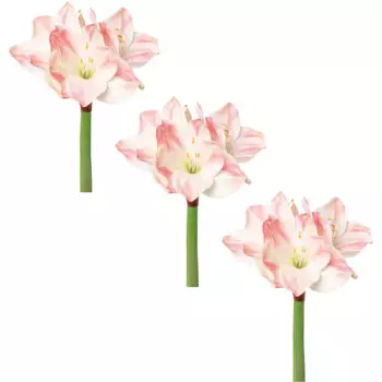 Creativ green Зимние искусственные растения «Новогодние украшения», пышные цветы, набор из 3 шт, розовый