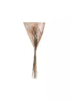 ЦВЕТОЧНЫЙ РЫНОК 2x сухоцвета Лагурус трава длина 70 см Butlers, natur