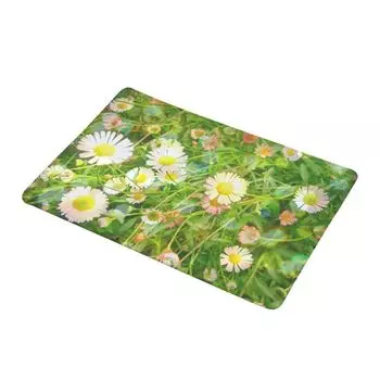 Цветок Роза Кактус Растение Не-фитильный дверной коврик Напольный коврик Коврик для ванной комнаты ReplicaReplica-1 # Stuttg, мультиколор