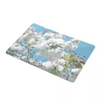 Цветок Роза Кактус Растение Non-Wick Дверной Коврик Напольный Коврик Коврик Для Ванной Комнаты Реплика Реплика-11# Stuttg, мультиколор