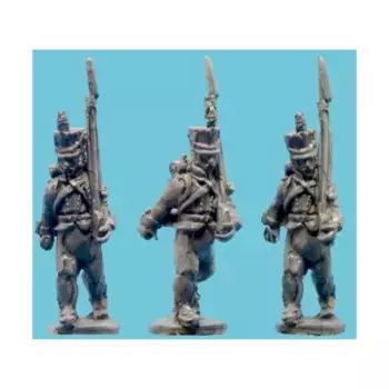 Датские мушкетеры, Age of Napoleon - Minor Nations (15mm)