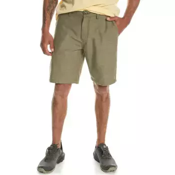 Davis мужские шорты 19" Quiksilver, зеленый