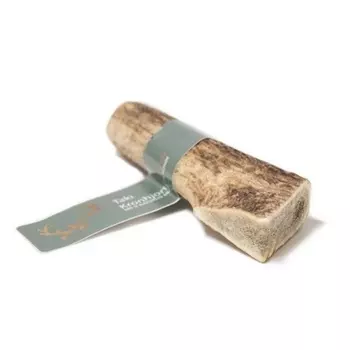 Deer Antler M 12cm Taki