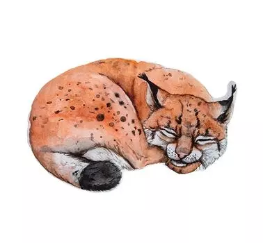 Декоративная детская подушка из хлопка РИСУНОК Classic 33х24 см BabySteps