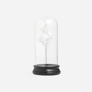 Декоративная фигурка Saona Shell El Corte Ingls, белый