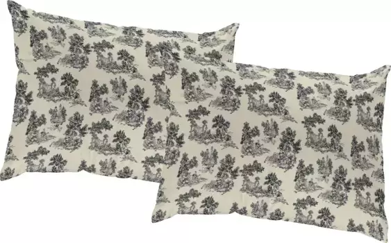 Декоративная подушка Адам "Старые добрые времена", сертификат GOTS - чехол без наполнителя, 1 шт Adam 40х60 см, черный