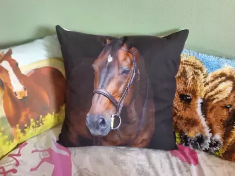 Декоративная подушка Gek op kussens!, черный