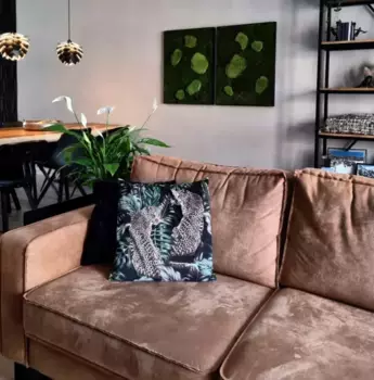 Декоративная подушка Gek op kussens!, цвет Bunt