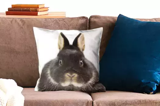 Декоративная подушка MuchoWow, цвет Bunt